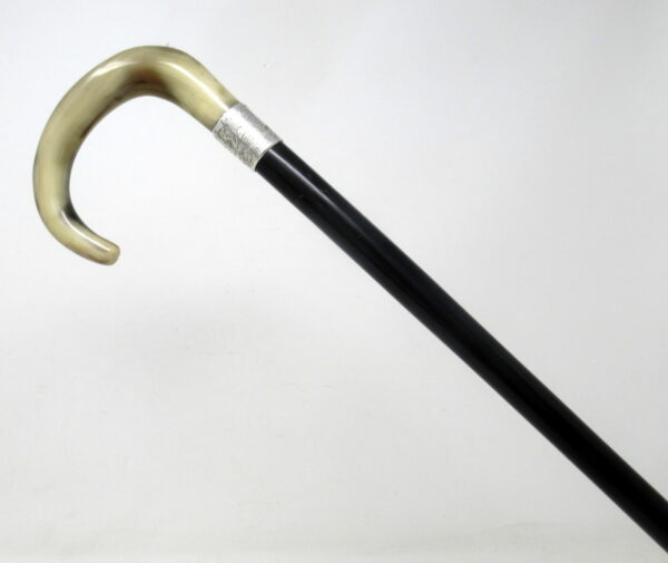 667. Antique Vintage Ladies Walking Stick Sterling Silver Collar Cow Horn Handle 1936