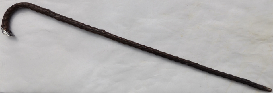 645. Thorn Wood Walking Stick by Jonathan Howell London 1897 - Image 8