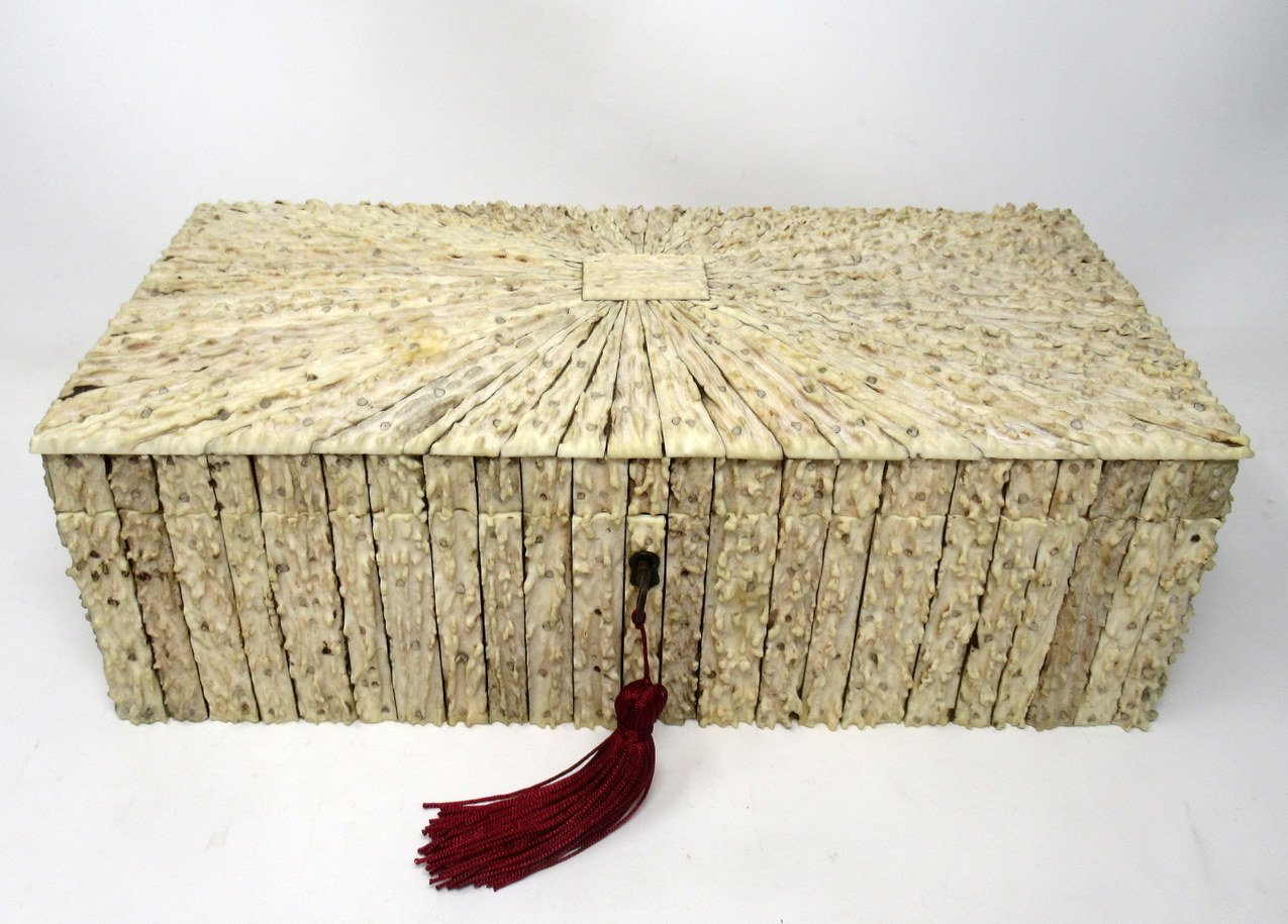 284. Antique Anglo Indian Vizagapatam Stag Antler Horn Sandalwood Document Box Casket - Image 3